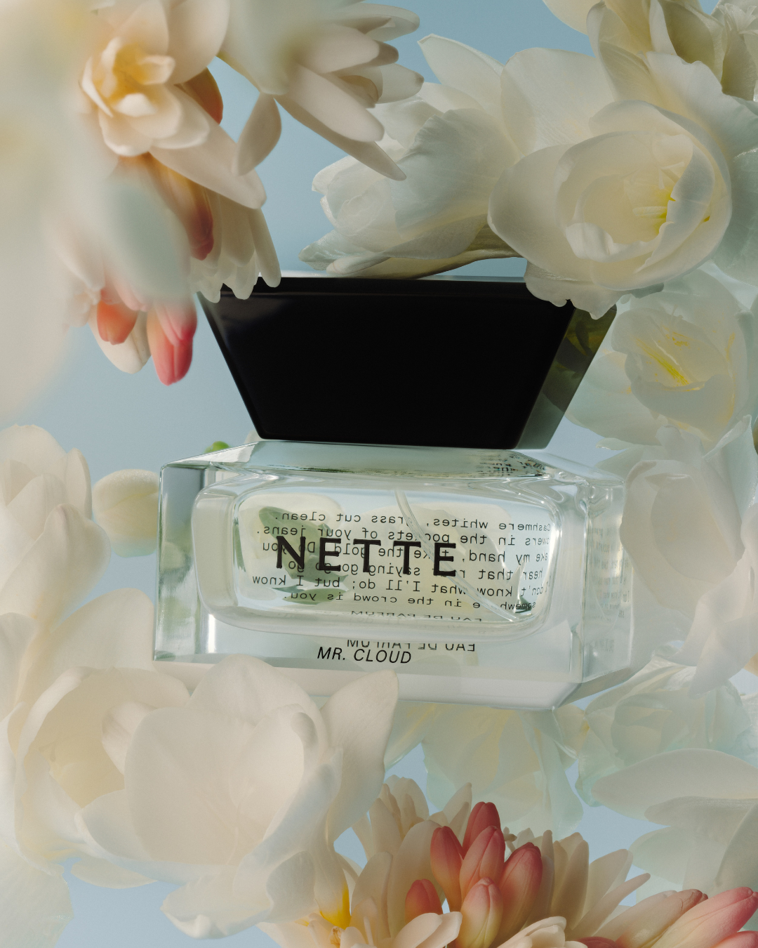 NETTE Mr. Cloud product photo: clear glass and black cap, glass and organic, soft light, image 2 of 4