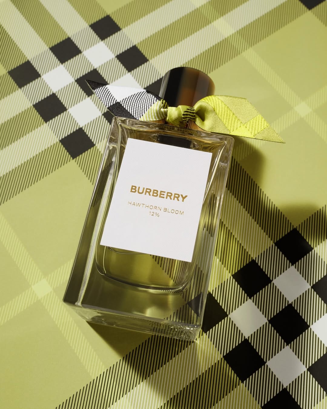 Burberry fragrance product photo: clear glass, amber brown, white label and black cap, glass, studio light