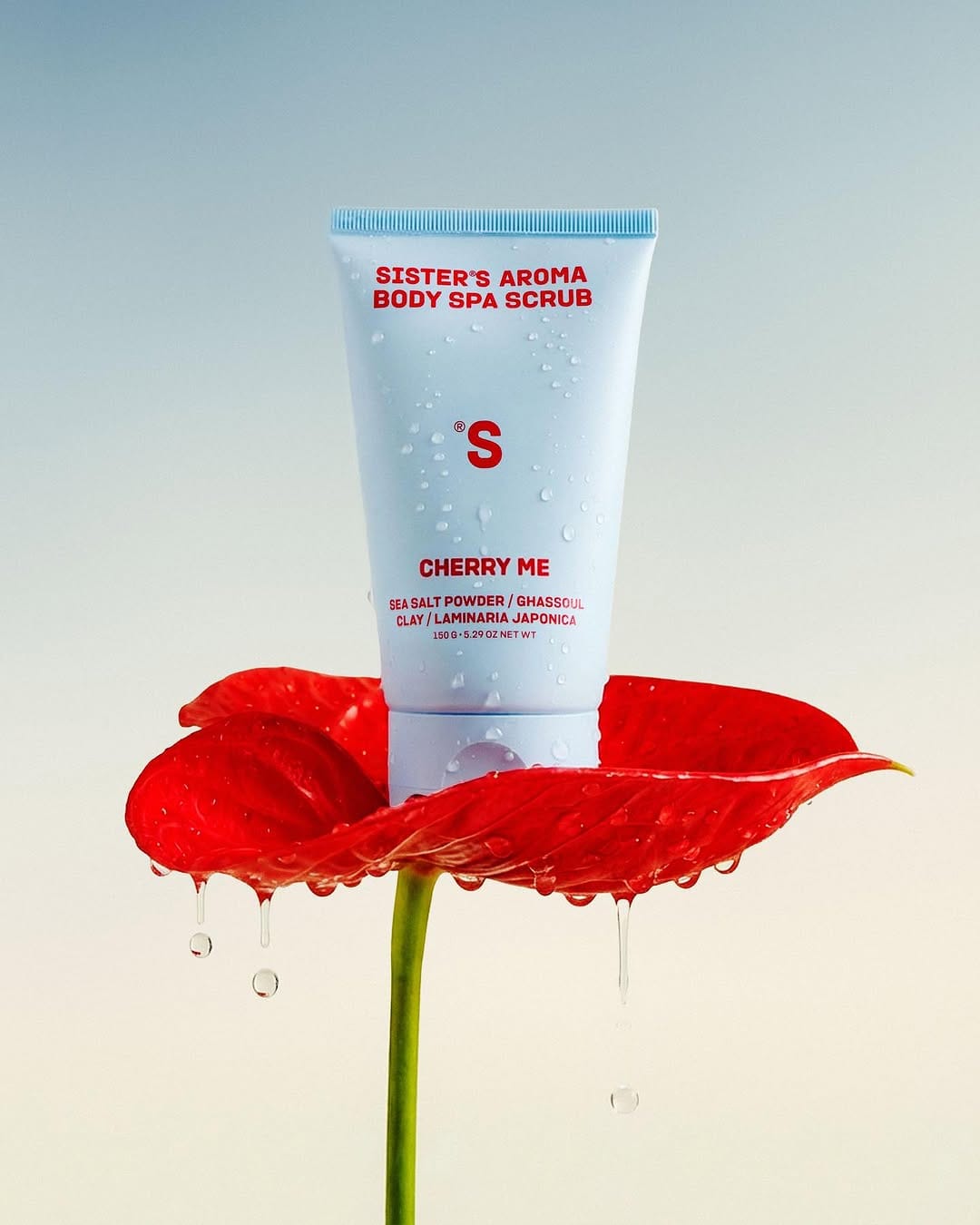 Sister's Aroma body scrubs product photo: powder blue and black, plastic, soft light