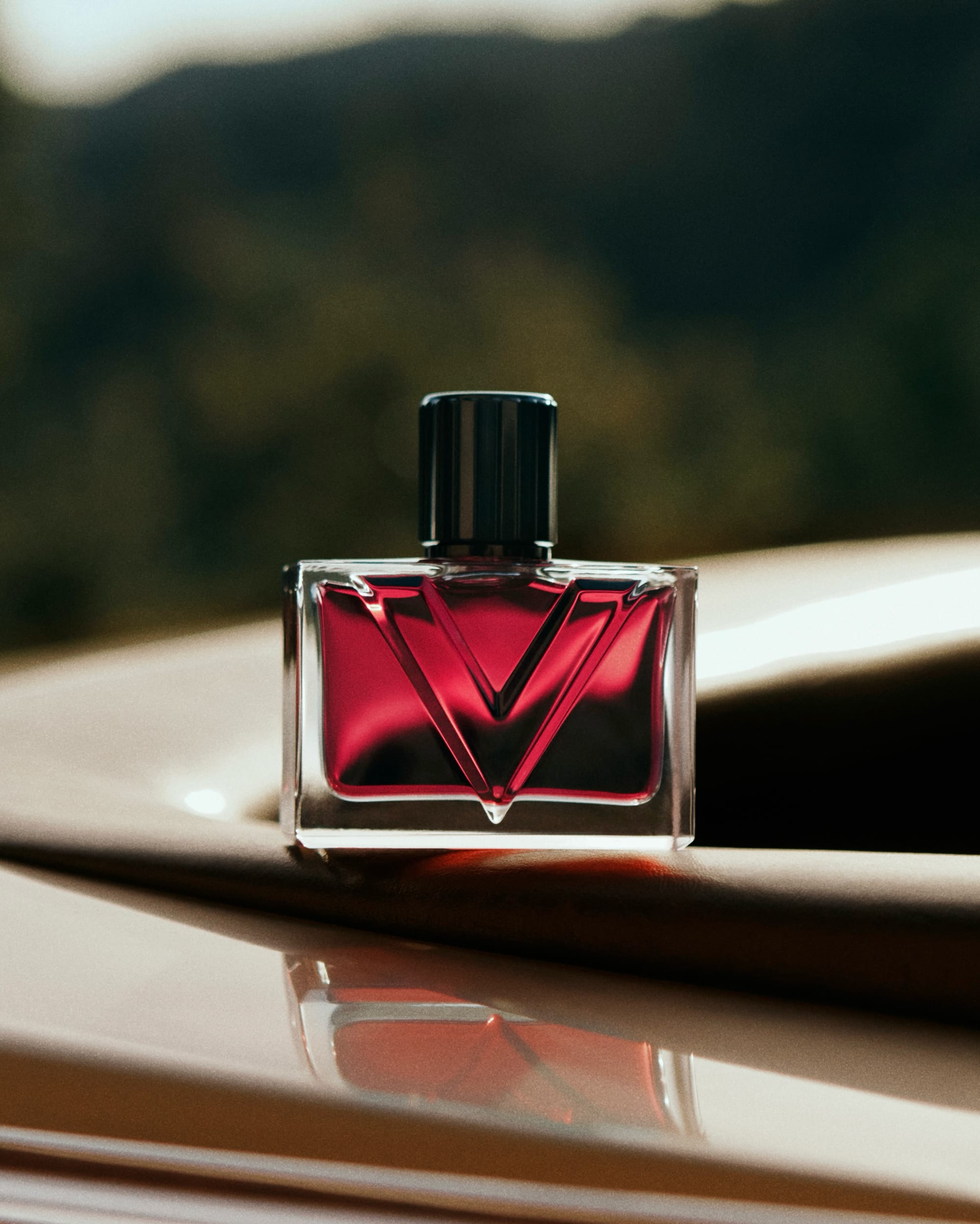 Valentino Beauty Vendetta Donna product photo, image 1 of 4
