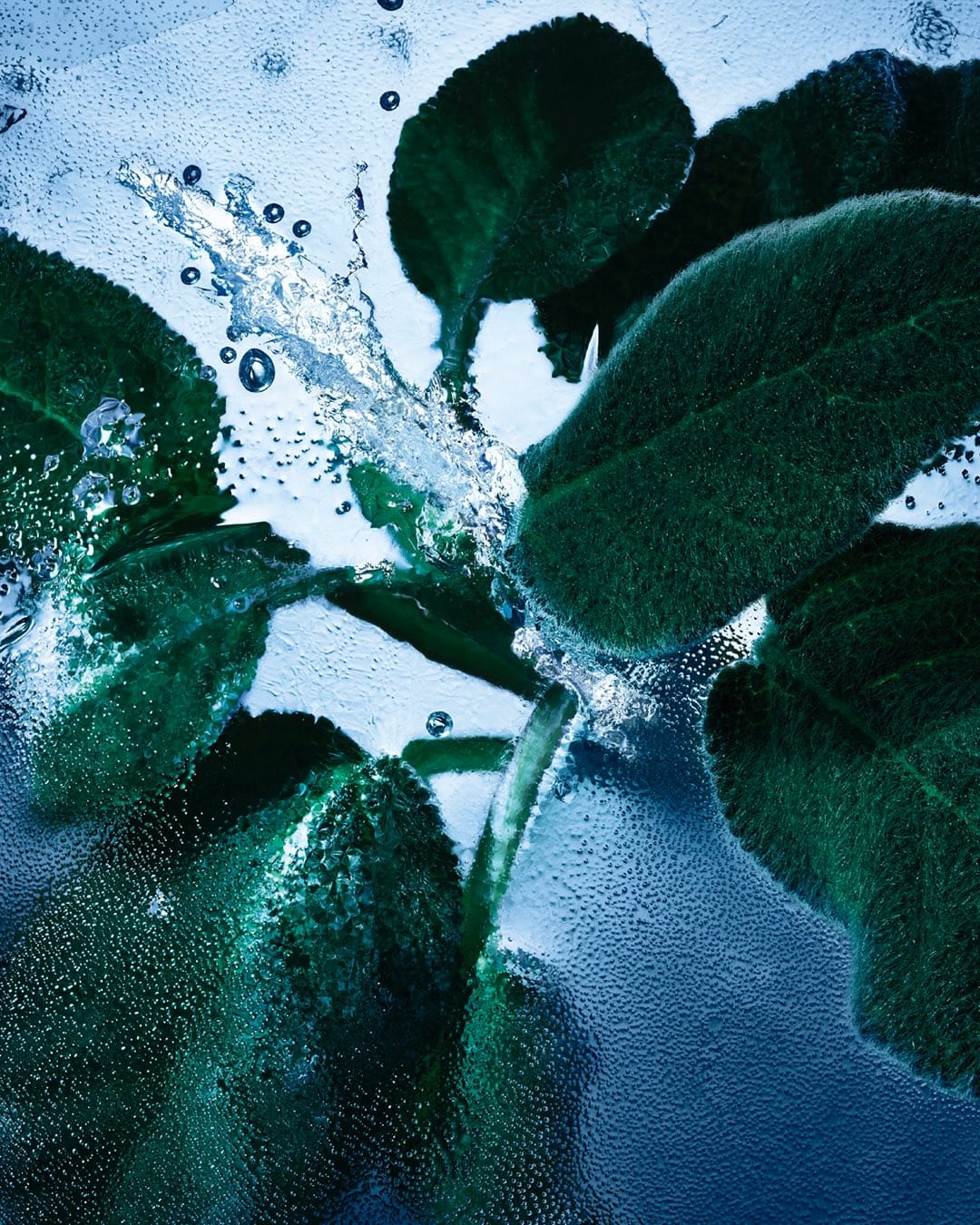 YSL Beauty Iced Cologne product photo: ice blue, black cap and silver label, organic, dramatic light, image 4 of 4
